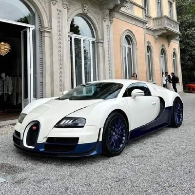 morris_boa61909's profile picture. 