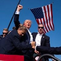 manydogs (@manydogs458) 's Twitter Profile