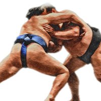 大西健太(スポーツ報知・大相撲担当) (@hochi_onishi) 's Twitter Profile Photo 大西健太(スポーツ報知・大相撲担当) (@hochi_onishi) 's Twitter Profile Photo
