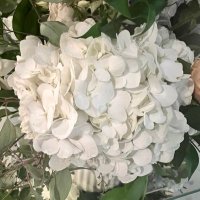 @LaLa11 (@pbnewprovidence) 's Twitter Profile