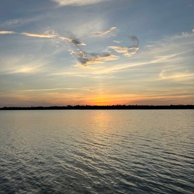 bbarccattle's profile picture. 