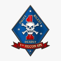 SgtMaj Mike (@sgtmajmike) 's Twitter Profile