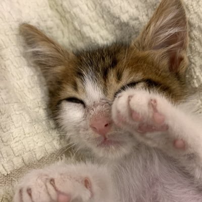 ghall1_'s profile picture. 