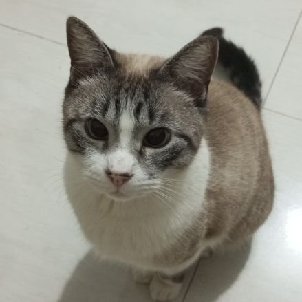 Maryryhh's profile picture. 