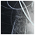 Has anyone in this family ever even seen a chicken?