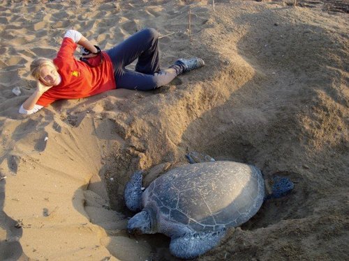 PhoeniKs_Rising's profile picture. Passionate about nature and the universe. Humans need to repair their damage and find balance. Conservationist striving for happiness - all views are personal.