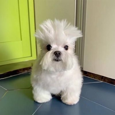 SpikeonSol__'s profile picture. 