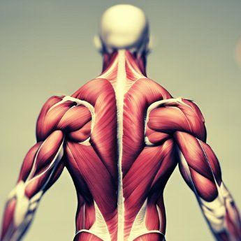 Learn how to Break free from Back Pain and navigate your Mental Matrix| Movement Coach | Ex Pro Athlete | DM “BACK” to get started
