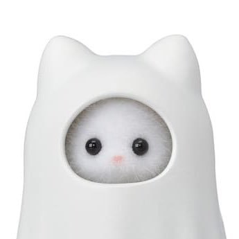 k_d25x's profile picture. 