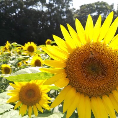 mana2supp0rt's profile picture. &tanosimu0期生としてデザインをお仕事にしていく勉強を始めました💓
現在Sophianne Projectに所属🫡プロモバナーなど作成させていただいてます✨

クライアントさんのビジネスを加速させてるデザインを作成していきます🕊✨

本業は臨床検査技師🏥2児ママです👶

よろしくお願いします💓