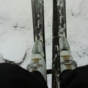 Maureen Tracy - @MmccarthyTracy - Twitter