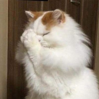 Oom20_'s profile picture. ขายทุกอย่างที่อยากขาย‼️ ราคาขึ้นลงตามโอกาส😂😂😂
สั่งซื้อ/สอบถาม DM 💬