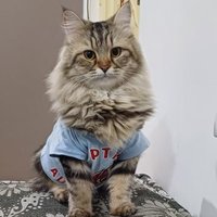 Mifra (@mifra222) 's Twitter Profile