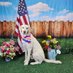 Astra The Stable Genius (@astra_007) Twitter profile photo Astra The Stable Genius (@astra_007) Twitter profile photo
