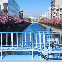 カフェモカ (@tumugi_switch) 's Twitter Profile