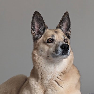 MWonch1985's profile picture. 🇨🇦