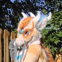 Wild Dream Creatures (@dream_creatures) 's Twitter Profile
