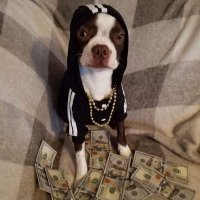 PicksEzz (@picksezz) 's Twitter Profile