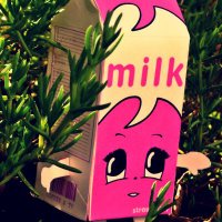 OBEY (@sociallllli) 's Twitter Profile Photo OBEY (@sociallllli) 's Twitter Profile Photo