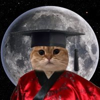 CryptoBoer🐱👘 (@cryptodeboer) 's Twitter Profile