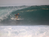 Ronaldrijn's profile picture. I'm into online marketing, surfing, good food and wines.