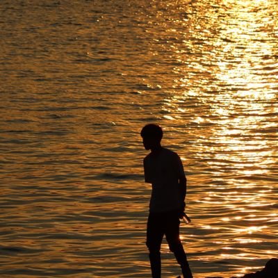 Reggie917795's profile picture. 