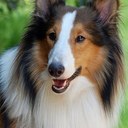 hayden huff - @Catbox123Huff - Twitter