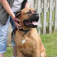 RSPCA Southridge (@rspcasouthridge) 's Twitter Profile