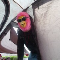 getter of jokes (@thegreatdamonzo) 's Twitter Profile