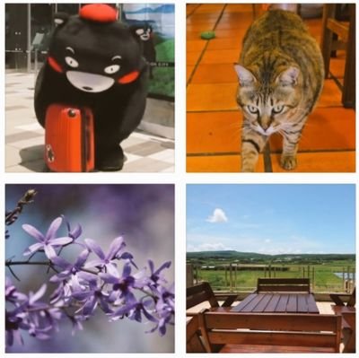 熊貓花景さんのプロフィール画像