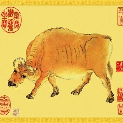 qingyun538's profile picture. 