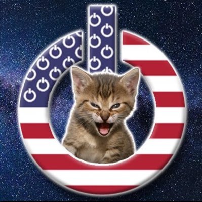 tradingworkman's profile picture. raving, horse racing and motorsports competitor and GAMESTOP HOLDER GameStop