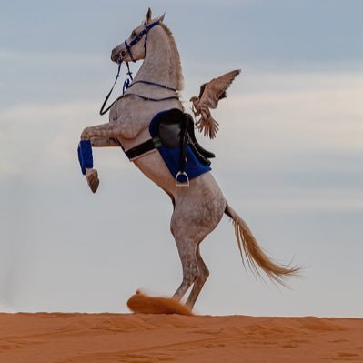 BinTasaan's profile picture. 