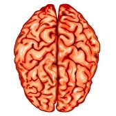 MedStudents100's profile picture. http://t.co/rzPB7g618m is a network for medical students and doctors.  Blog, ask questions, find USMLE study partners, and news.  Interact!