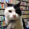 HIMAWARI_taisho's profile picture. 大阪市大正区にあるアットホームな地域活動支援センター✨ リサイクルショップもやってます🌻 季節のレクリエーションの様子や、ブログ更新情報などをお伝えします💁