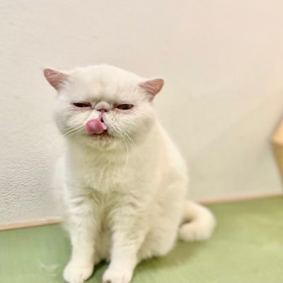 んたんさんのプロフィール画像