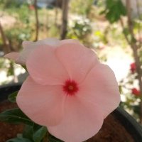 Reyhan (@reyhan786918) 's Twitter Profile Photo