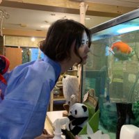 安眠药Diary (@amyruby_j) 's Twitter Profile