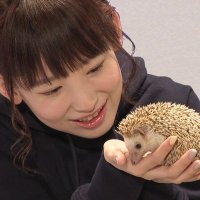 たかぴー (@vf31f_yf29) 's Twitter Profile