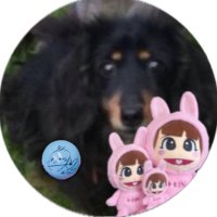 チョンパ (@chonpa_mcz) 's Twitter Profile