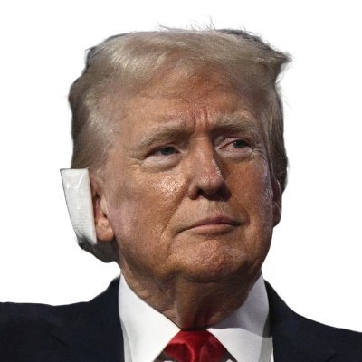 injured_ear Profile Picture
