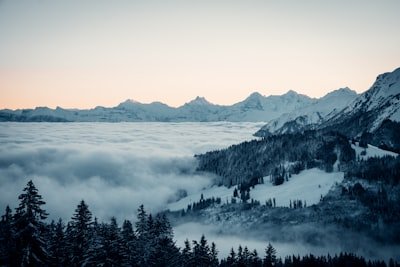 kaffy2342's profile picture. 