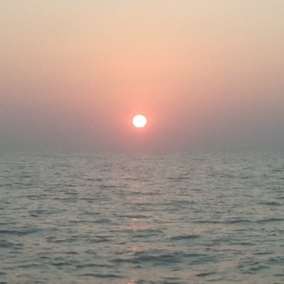 NgoNui48118's profile picture. 