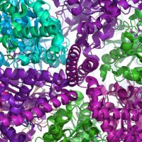 Noji Laboratory (東京大学 野地研究室) (@nojilab_utokyo) 's Twitter Profile Photo Noji Laboratory (東京大学 野地研究室) (@nojilab_utokyo) 's Twitter Profile Photo