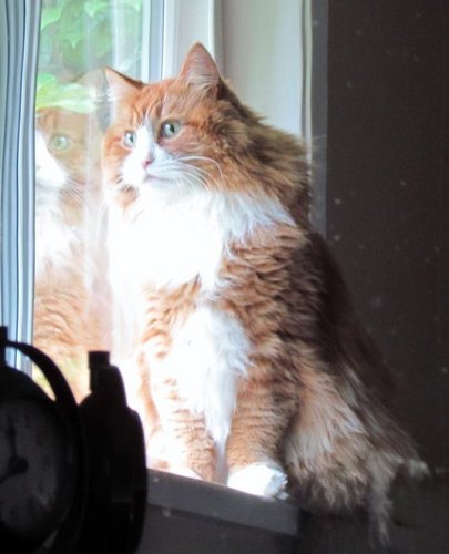 BenKwan101's profile picture. 