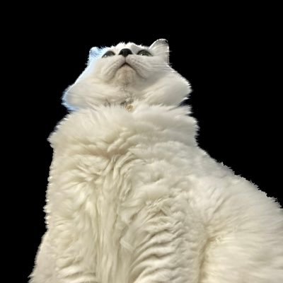 yoppii1970's profile picture. 名前は「ひろ」です。 東京都葛飾区で鈑金塗装業をしています。 お気軽にフォローして下さい。クルマ、猫など色々とツイートしてしまいますので専門の方はフォロー外していただいて大丈夫です。宜しくお願いします。