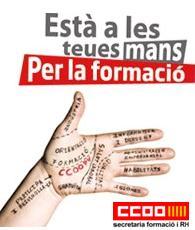 Des de la Serc. de Formació de CCOO PV obrim aquesta finestra per apropar les opcions de Formació Professional a treballadors i treballadores del País Valencià.