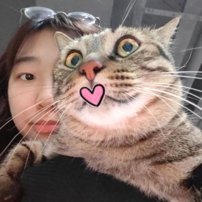 goyxn7799370130's profile picture. From FOG HASHING marketing team