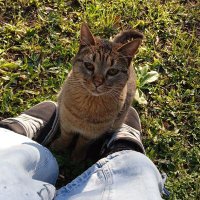agostina (@n1ce_teacx) 's Twitter Profile