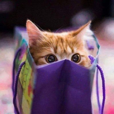 sshasanjp's profile picture. I have a dream to gain the freedom to help people Through new products, helping then grow through experiences and achieving their dreams and their freedom